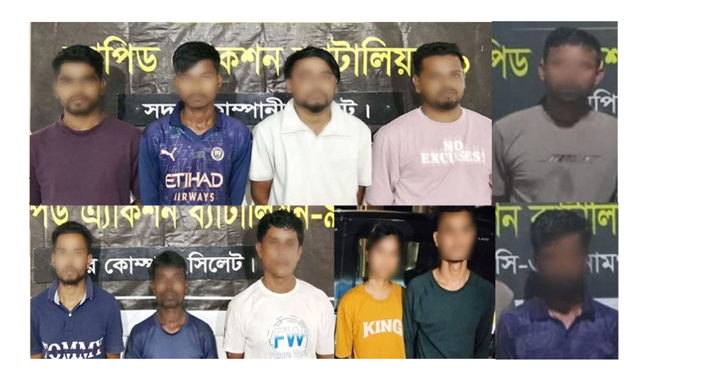 সিলেট ও সুনামগঞ্জে র‌্যাবের সাড়াশি অভিযানে আটক ১২