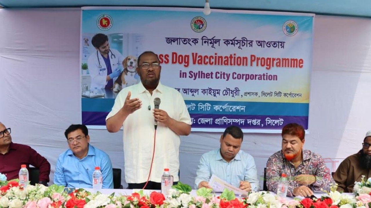 সিলেটে পথ কুকুরকে টিকাদান শুরু, চলবে ১৫ দিন