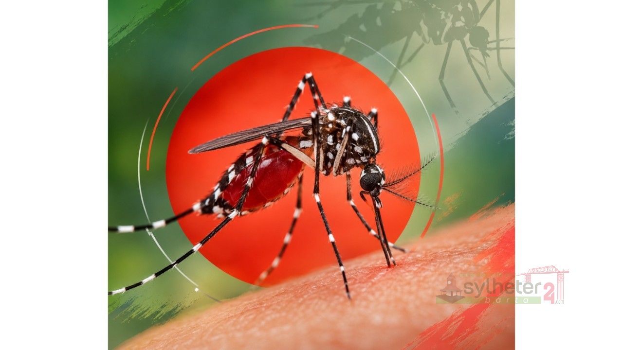  ২৪ ঘন্টায় ডেঙ্গু কেড়ে নিল আরও সাত প্রাণ&nbsp;